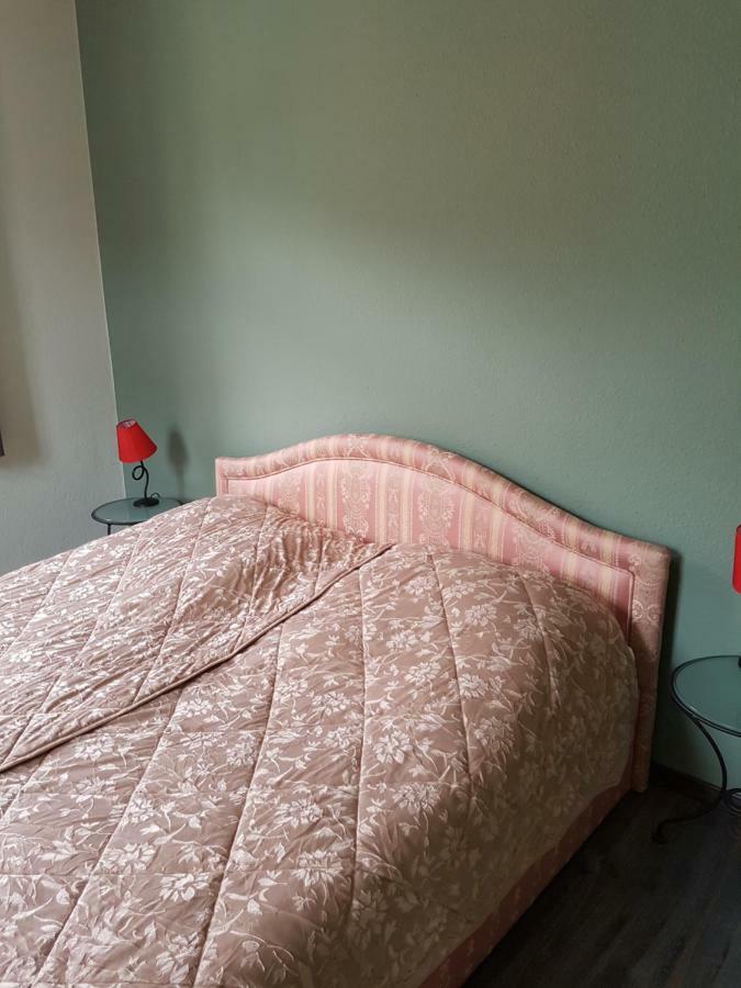 באד שאנדאו Appartments Endler מראה חיצוני תמונה